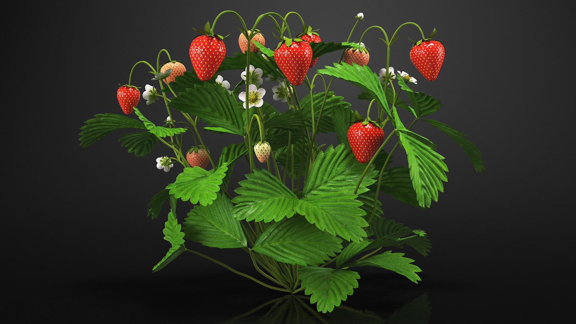 Rigged Gardening Lady with Greenhouse Collection 3D https://p.turbosquid.com/ts-thumb/6U/Q9O0xr/qR/riggedgardeningladywithgreenhousecollectionmb3dmodel055/jpg/1646747827/1920x1080/fit_q87/f00014fbafc0a8c2faed114cecb1004eee5ebf2f/riggedgardeningladywithgreenhousecollectionmb3dmodel055.jpg