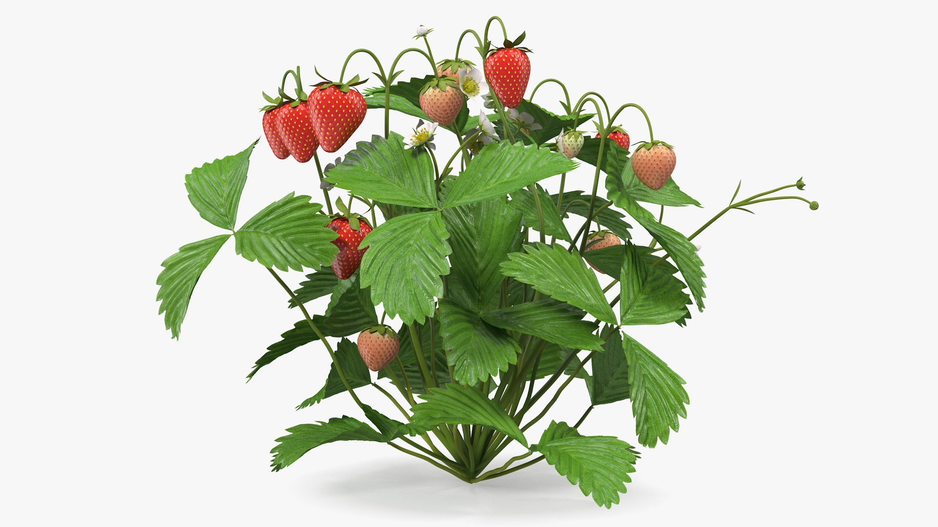 Rigged Gardening Lady with Greenhouse Collection 3D https://p.turbosquid.com/ts-thumb/6U/Q9O0xr/t9/riggedgardeningladywithgreenhousecollectionmb3dmodel058/jpg/1646747838/1920x1080/fit_q87/fc29e758616ba3e92ee854dcc6968e42cdf33450/riggedgardeningladywithgreenhousecollectionmb3dmodel058.jpg