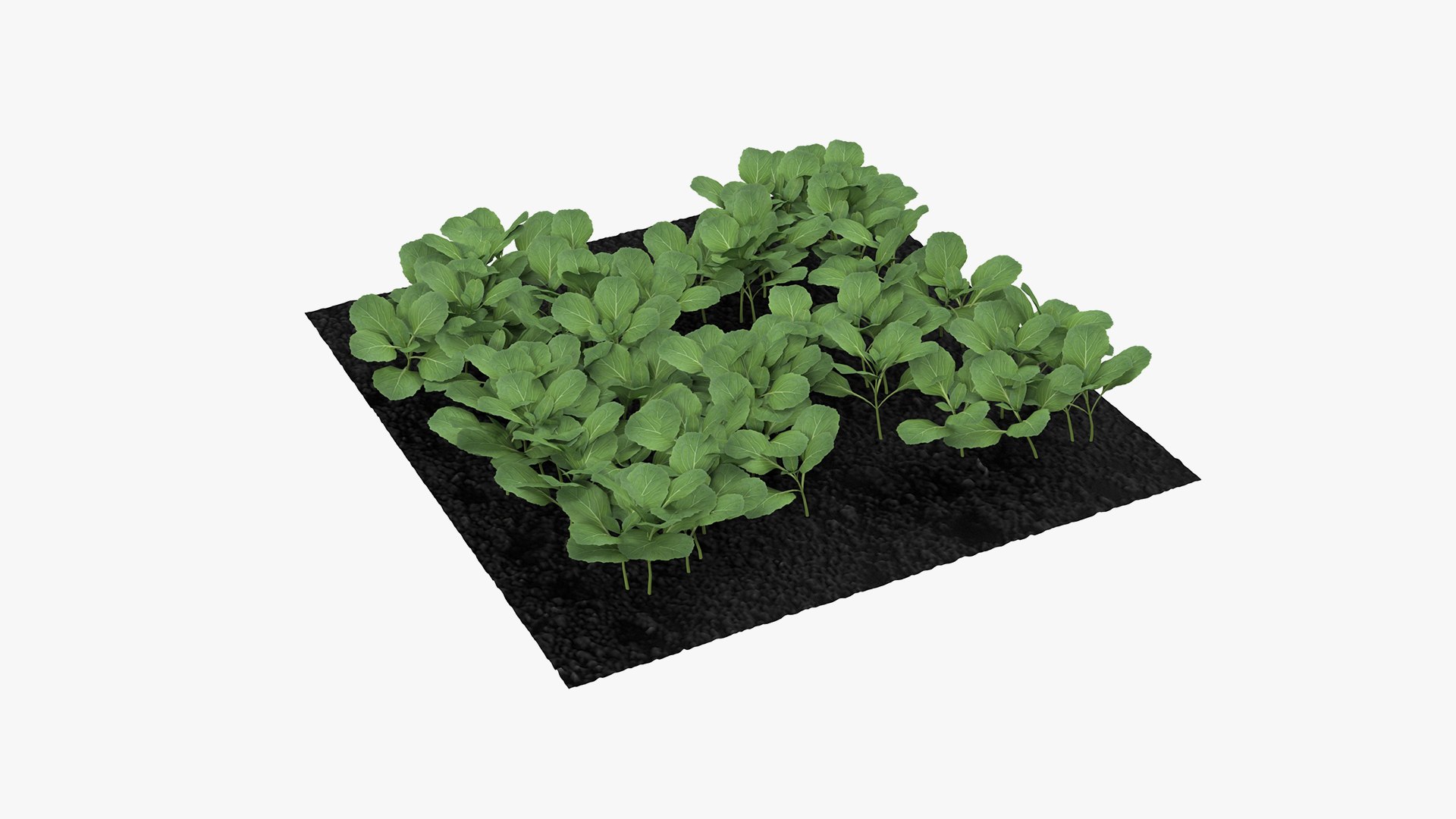 Rigged Gardening Lady with Greenhouse Collection 3D https://p.turbosquid.com/ts-thumb/6U/Q9O0xr/ww/riggedgardeningladywithgreenhousecollectionmb3dmodel064/jpg/1646747857/1920x1080/fit_q87/7cba3619be042b1d27f8b17c93a0a9e82dbb6ada/riggedgardeningladywithgreenhousecollectionmb3dmodel064.jpg
