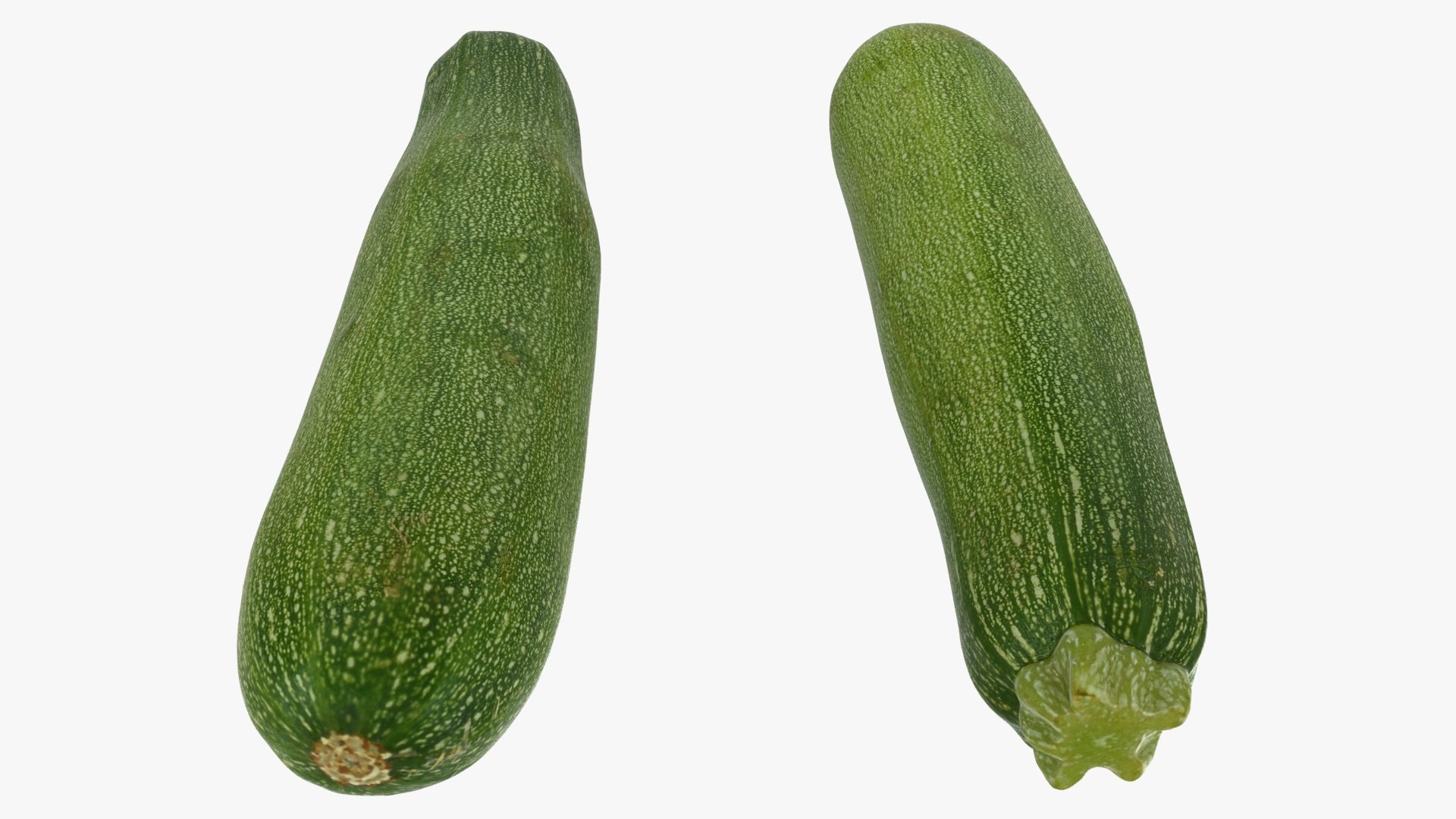zucchini set 3D https://p.turbosquid.com/ts-thumb/6U/TJneRY/0C/13/jpg/1612927033/1920x1080/fit_q87/10db52fc41020b7d4e955bc02f91f0492b978fa8/13.jpg