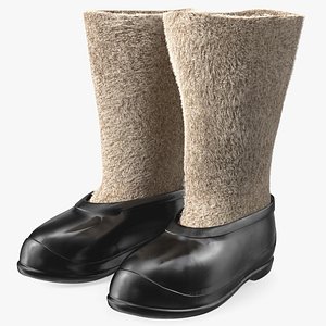 3D model Traditional Felt Boots with Galoshes Black Fur