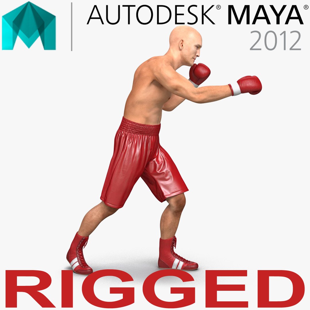 Boxer Man Rigged 2 for Maya 3D Model 3D model preview