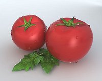 tomato