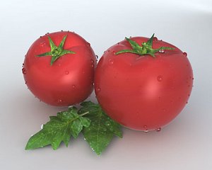 realistic tomato 3d obj