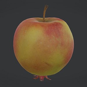 Fruit Crab Apple Low Poly model