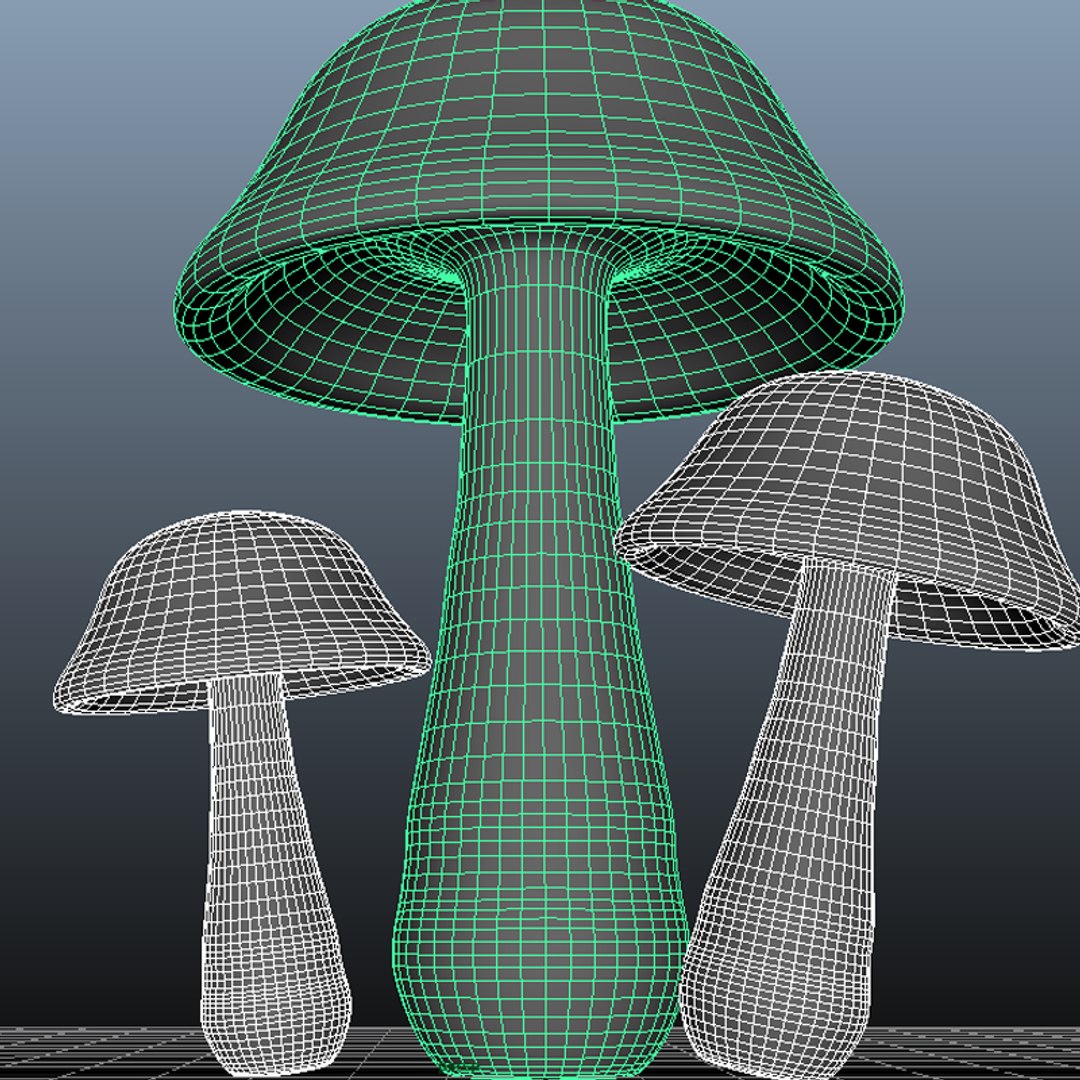 free obj model mushroom https://p.turbosquid.com/ts-thumb/6V/2Y1rpP/Pk5PgDZS/preview6/png/1449600457/1920x1080/fit_q87/ef4e63829c0a32b1e6144c51c6e7c3df545e5330/preview6.jpg