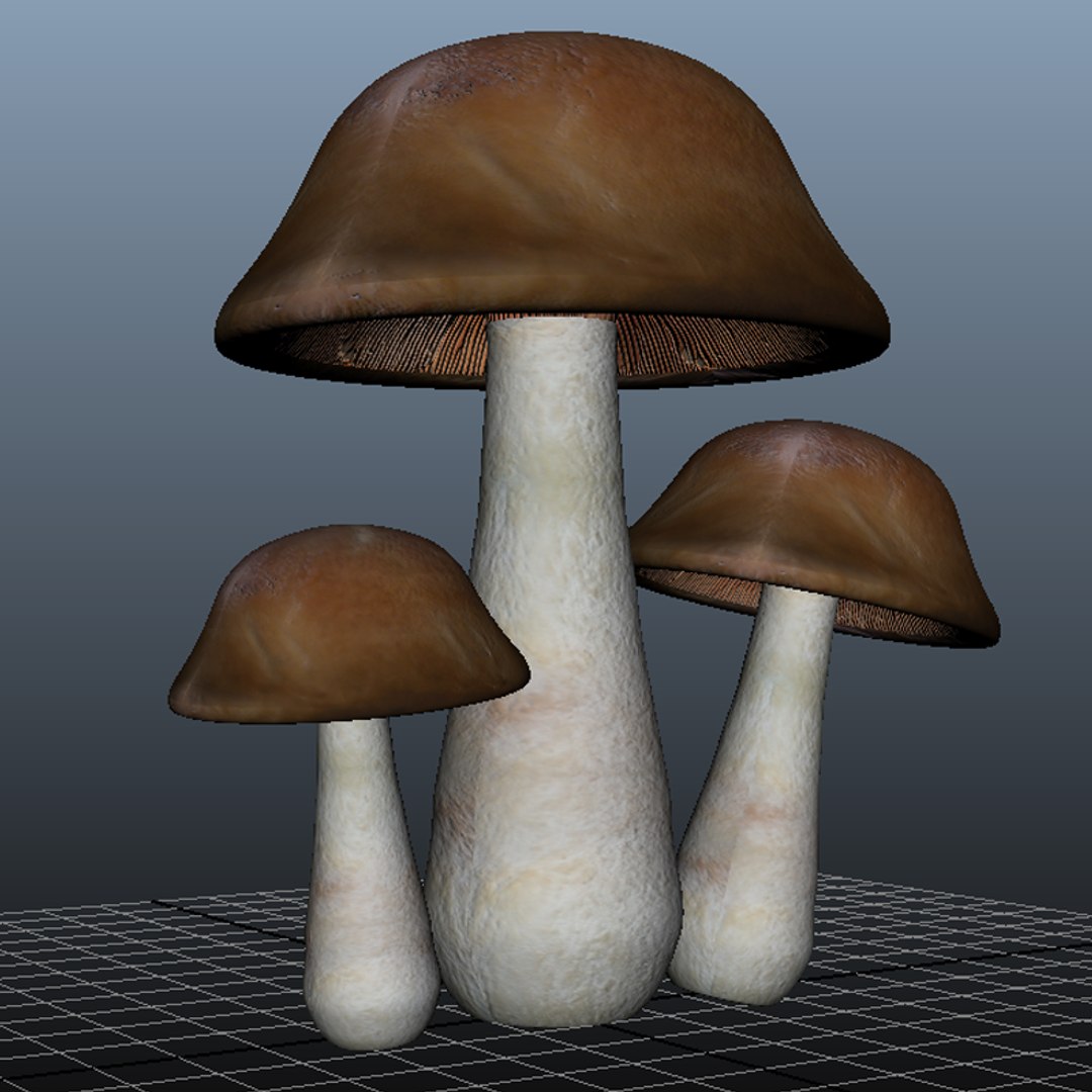 free obj model mushroom https://p.turbosquid.com/ts-thumb/6V/2Y1rpP/bhDaQKmI/preview1/png/1449600456/1920x1080/fit_q87/68512e58dadc0021bb966dde618a7c40a9a69b69/preview1.jpg