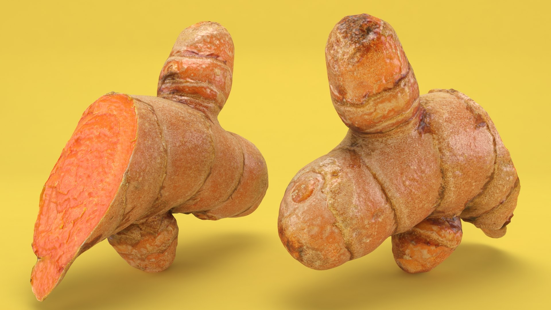3D Zingiberaceae Collection 2 https://p.turbosquid.com/ts-thumb/6V/AmtsHT/AR/turmericcutv1_a0002/jpg/1646319079/1920x1080/fit_q87/6fab496158a39138f543b998c7e2322bfac2f033/turmericcutv1_a0002.jpg
