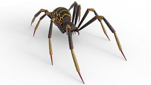Spider