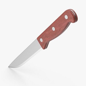 Small Kitchen Knife 3D model