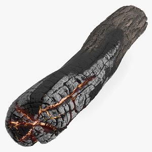 Charred Wooden Log model