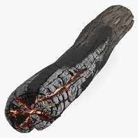 Charred Wooden Log