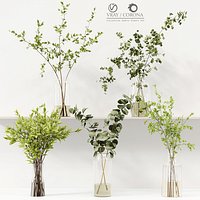 Collection Indoor Plants 022