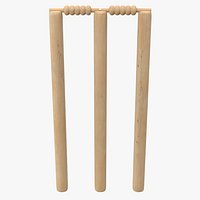 Cricket Wicket