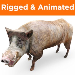 3D wild boar rigged ready