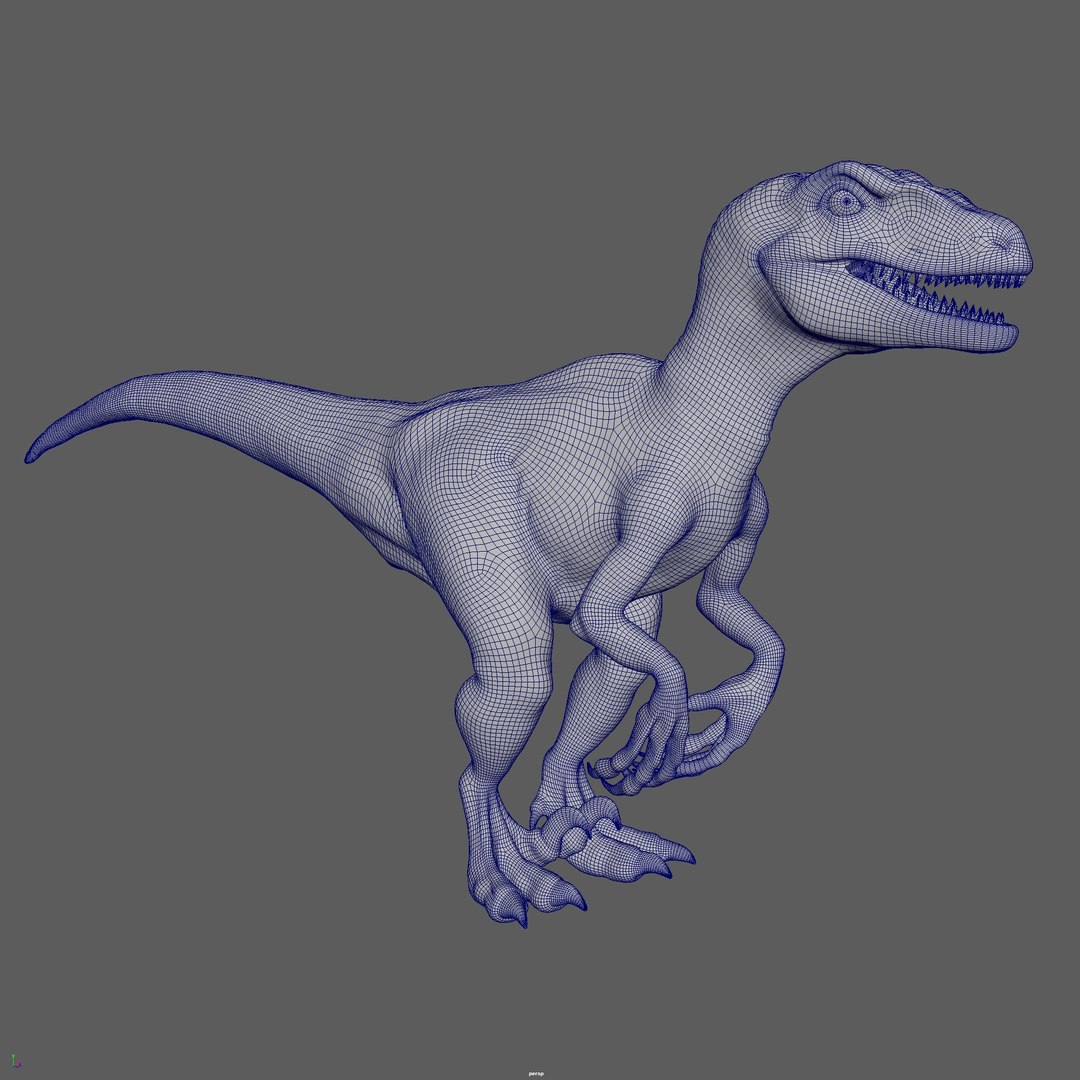 velociraptor raptor 3D https://p.turbosquid.com/ts-thumb/6V/hzfxxr/A7RJEM7Q/wireframe01/jpg/1575777257/1920x1080/fit_q87/4fccab898b3cb63538515880afd8622a9d72a181/wireframe01.jpg