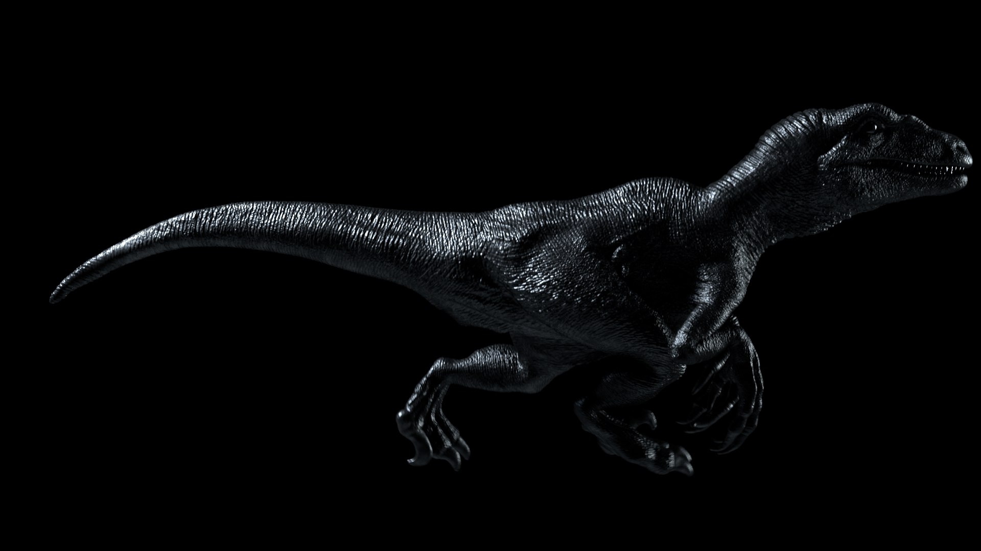 velociraptor raptor 3D https://p.turbosquid.com/ts-thumb/6V/hzfxxr/et4QnnaA/raptor_profile_spec/jpg/1575777285/1920x1080/fit_q87/55d9375d84cafa425c229d64eca8da475ef1ff64/raptor_profile_spec.jpg