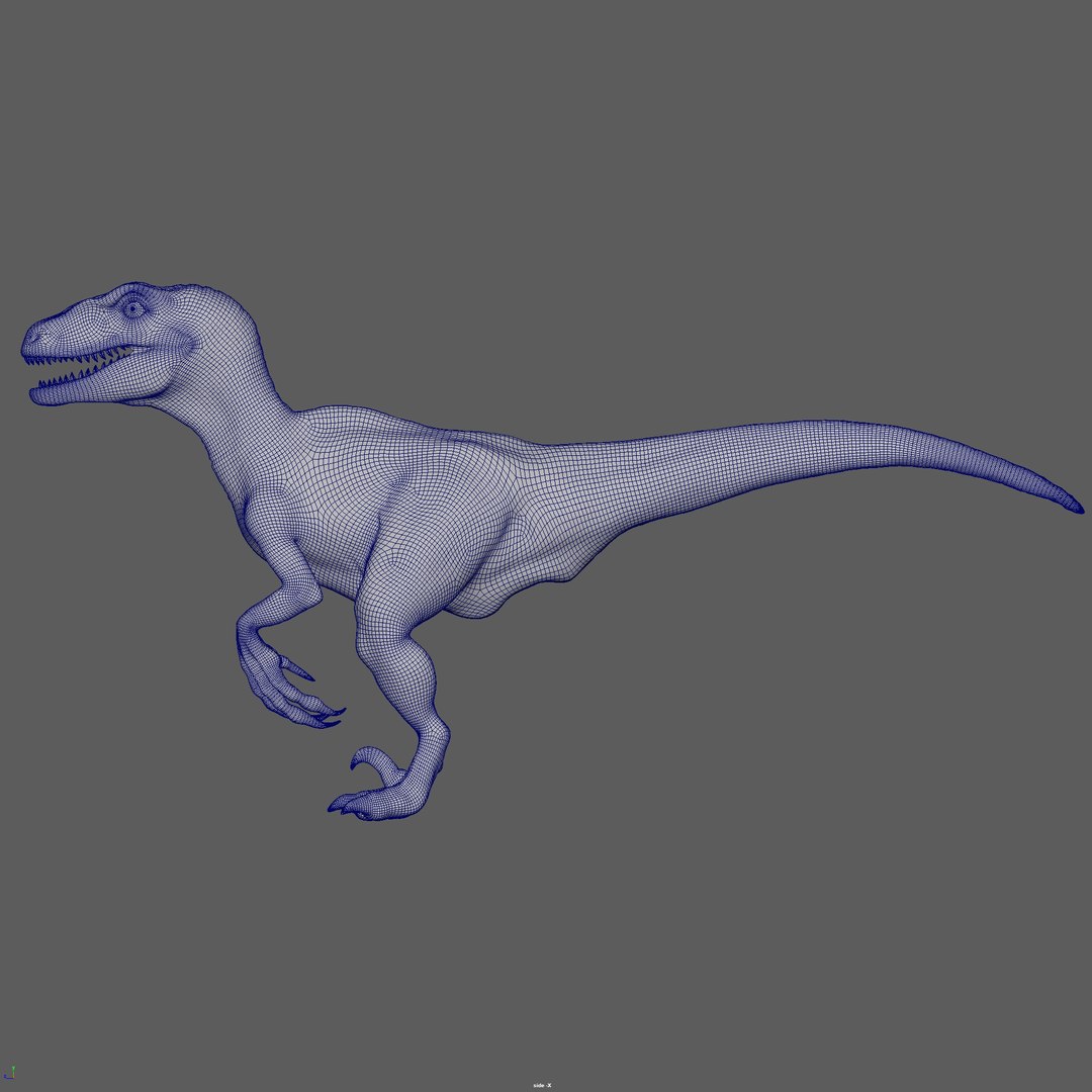 velociraptor raptor 3D https://p.turbosquid.com/ts-thumb/6V/hzfxxr/pdFCvF4f/wireframe04/jpg/1575777229/1920x1080/fit_q87/7b658d320ac350f04db13733746d2fcf60ab7a8f/wireframe04.jpg