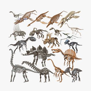 18 in1 dino skeleton model