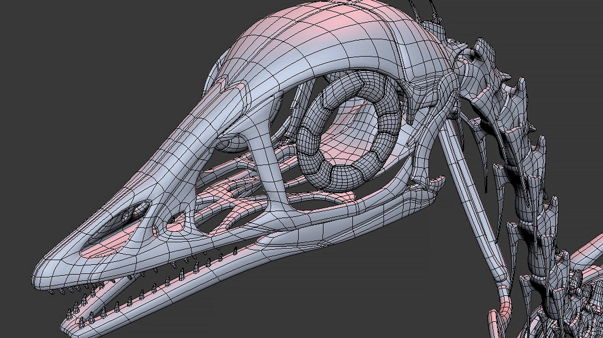 18 in1 dino skeleton model https://p.turbosquid.com/ts-thumb/6V/n9ziu7/1d/m023/jpg/1739636374/1920x1080/fit_q87/0b49663576082caac7afec65ce036b79cac205d6/m023.jpg