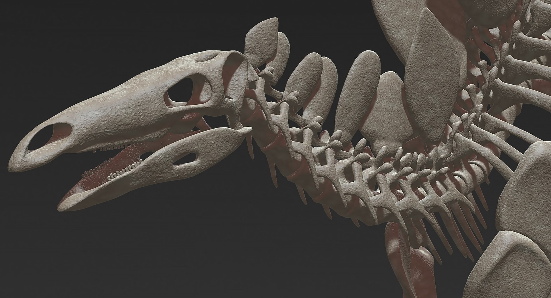 18 in1 dino skeleton model https://p.turbosquid.com/ts-thumb/6V/n9ziu7/27/r051/jpg/1739636003/1920x1080/fit_q87/eefcae7d247df3db2864bc86bb22666fc9f6f65f/r051.jpg