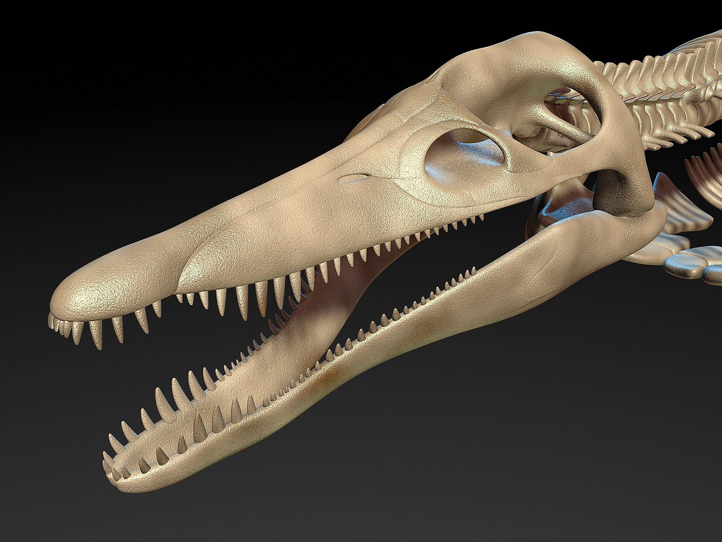 18 in1 dino skeleton model https://p.turbosquid.com/ts-thumb/6V/n9ziu7/3p/r051/jpg/1739636910/1920x1080/fit_q87/d41212c6e87433e38f4c8838f9b2c958ddc2e0da/r051.jpg