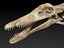 Collezione Dino scheletro 20 in1