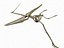 Collezione Dino scheletro 20 in1