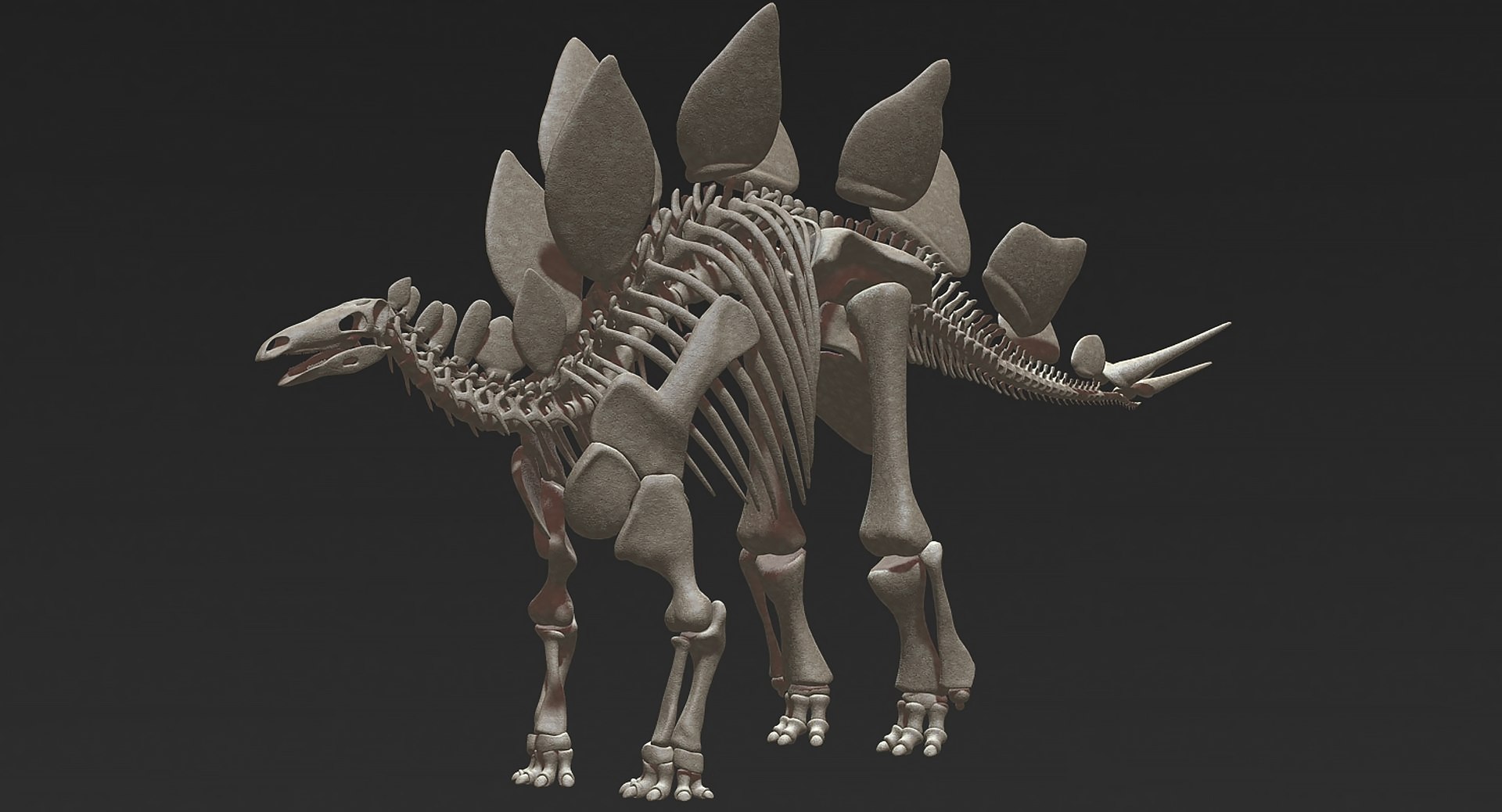 18 in1 dino skeleton model https://p.turbosquid.com/ts-thumb/6V/n9ziu7/4G/r021/jpg/1739636001/1920x1080/fit_q87/af2cffbf5f6251d64ccd54eaef1ebb496bbe7180/r021.jpg