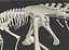 Collezione Dino scheletro 20 in1