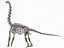 Collezione Dino scheletro 20 in1