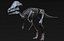 Collezione Dino scheletro 20 in1