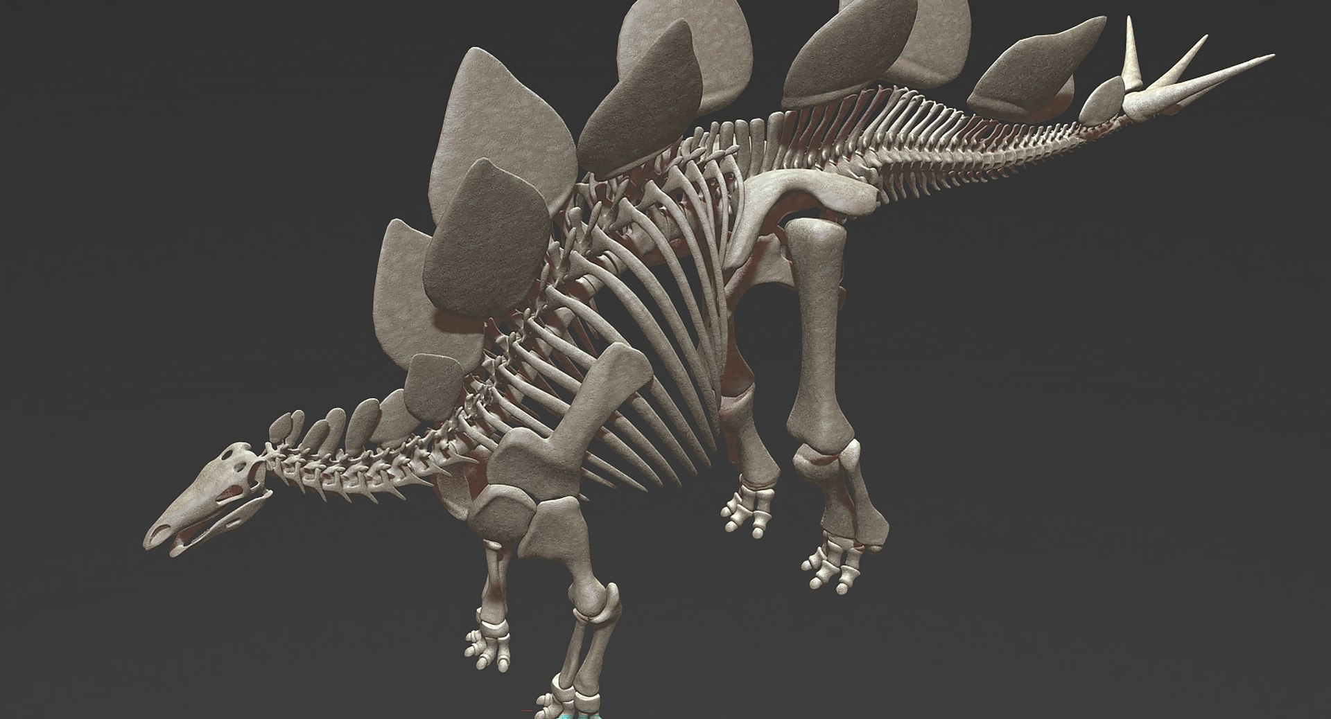 18 in1 dino skeleton model https://p.turbosquid.com/ts-thumb/6V/n9ziu7/8M/r061/jpg/1739636004/1920x1080/fit_q87/0cd13a61ea4561bf179a9ced84fd4943cef06b2d/r061.jpg