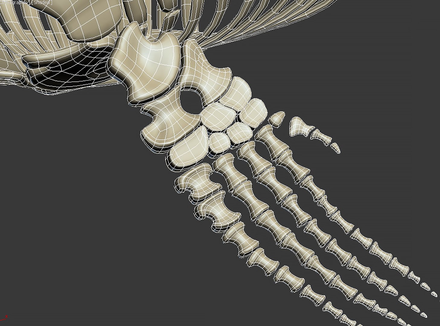 18 in1 dino skeleton model https://p.turbosquid.com/ts-thumb/6V/n9ziu7/8m/m011/jpg/1739636147/1920x1080/fit_q87/4e8c29d1a6acfbd7c261876a9bcc6e4bb24945ad/m011.jpg