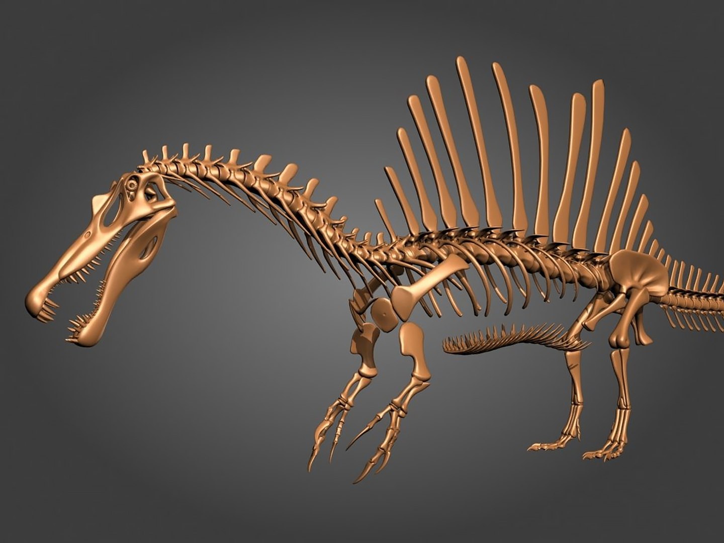 18 in1 dino skeleton model https://p.turbosquid.com/ts-thumb/6V/n9ziu7/93/izmq1kuuhiw/jpg/1739636304/1920x1080/fit_q87/88d454317d37aac5ff8e52e13db6f5cc78e5d3ce/izmq1kuuhiw.jpg