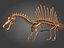 Collezione Dino scheletro 20 in1