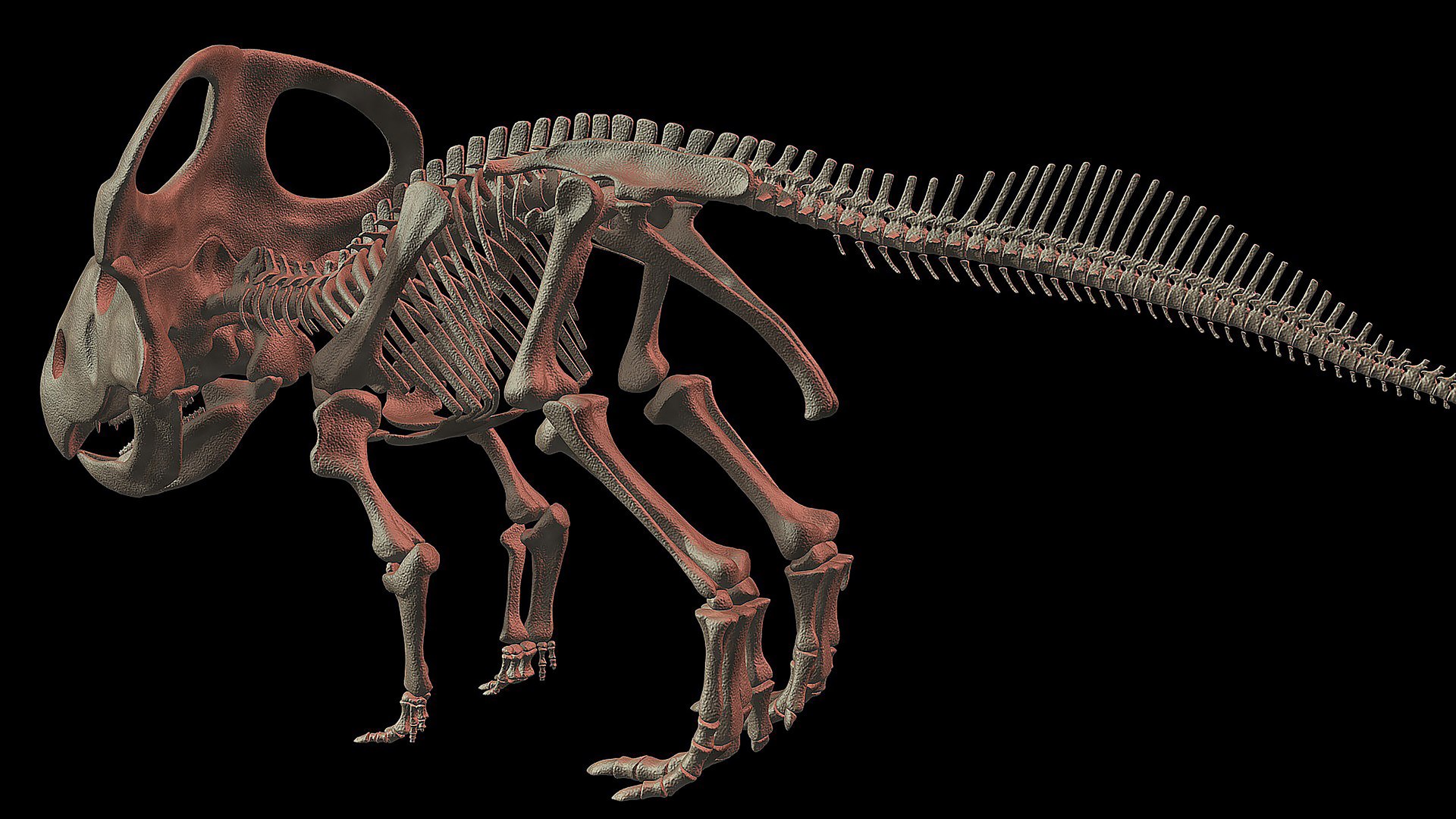18 in1 dino skeleton model https://p.turbosquid.com/ts-thumb/6V/n9ziu7/97/r0211/jpg/1739636827/1920x1080/fit_q87/20d7ca0d61e94ba5c2393e4d978af25a31345085/r0211.jpg