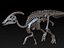 Collezione Dino scheletro 20 in1
