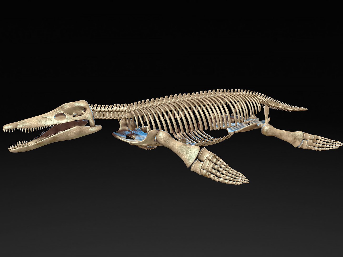 18 in1 dino skeleton model https://p.turbosquid.com/ts-thumb/6V/n9ziu7/9J/r0212/jpg/1739636908/1920x1080/fit_q87/b8c34ec67590a9d91b5484b4feb7f3c88abccbe8/r0212.jpg