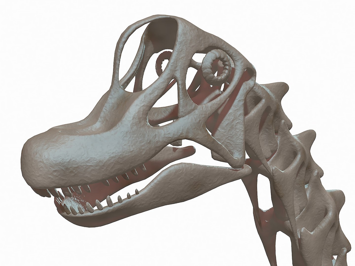 18 in1 dino skeleton model https://p.turbosquid.com/ts-thumb/6V/n9ziu7/9t/r024/jpg/1739636252/1920x1080/fit_q87/ec8ab1ab49a12909a8e79d9f17d3e99ff3423b98/r024.jpg