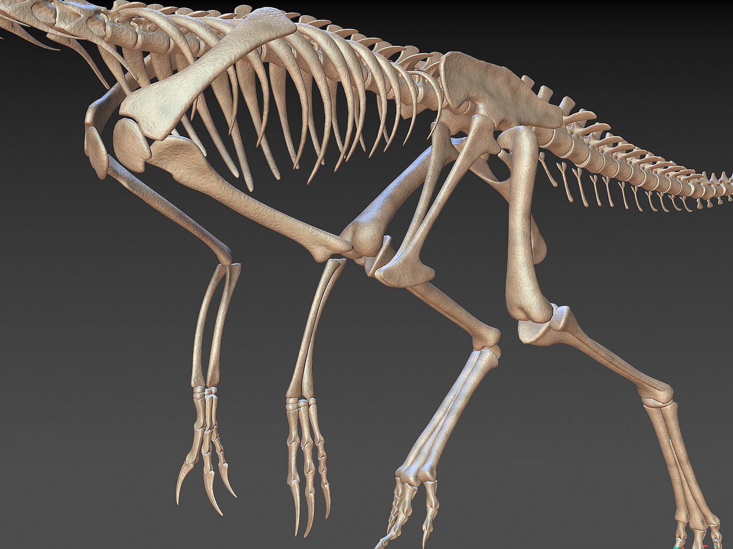 18 in1 dino skeleton model https://p.turbosquid.com/ts-thumb/6V/n9ziu7/A8/r03/jpg/1739635844/1920x1080/fit_q87/4d470b04f8ac5868d0b7e0643860f074fde97720/r03.jpg