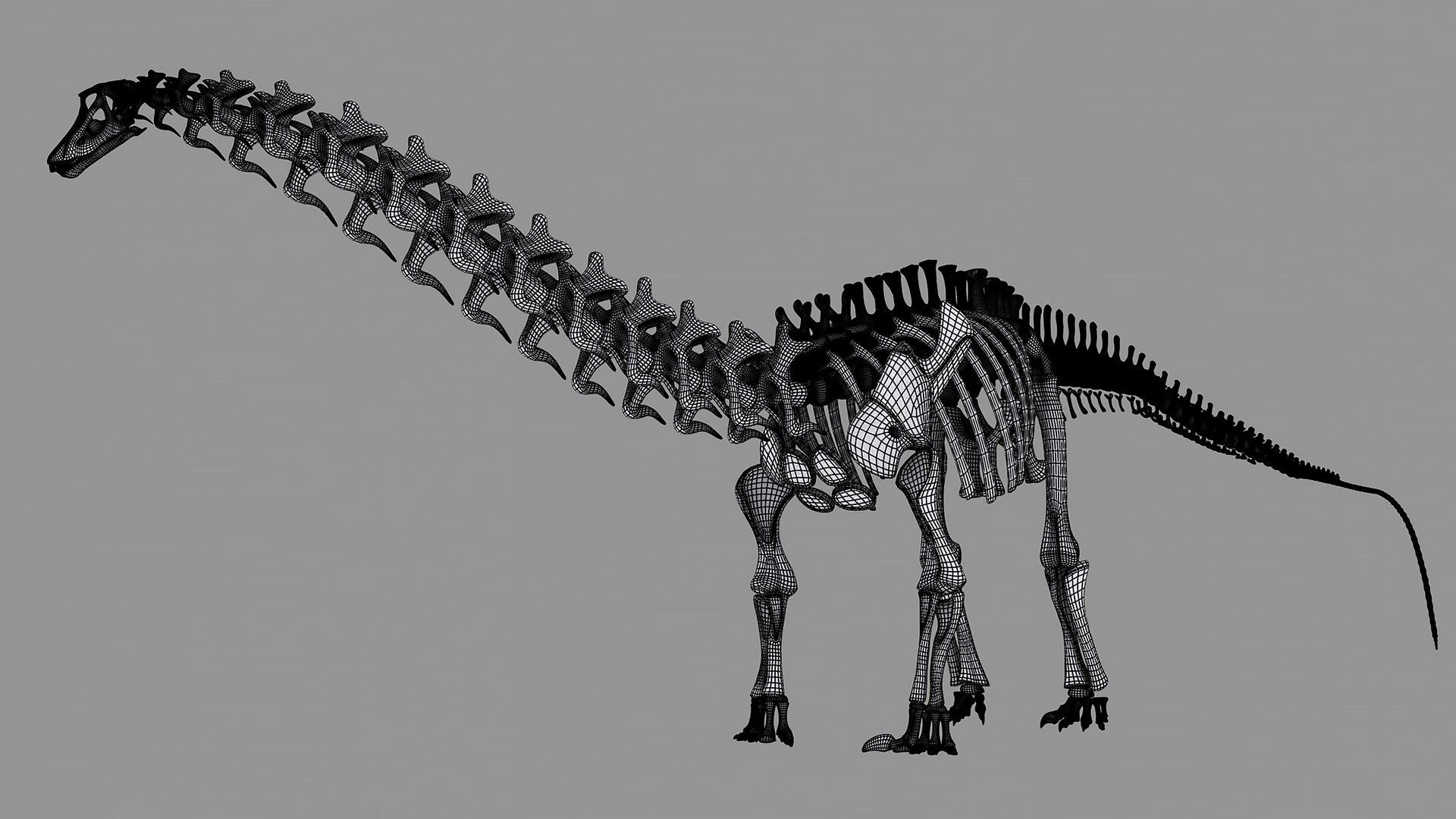 18 in1 dino skeleton model https://p.turbosquid.com/ts-thumb/6V/n9ziu7/Af/diplodocus09/jpg/1739636633/1920x1080/fit_q87/75a0b6974aa7d2eb20e6cd3b226cd25618b47009/diplodocus09.jpg