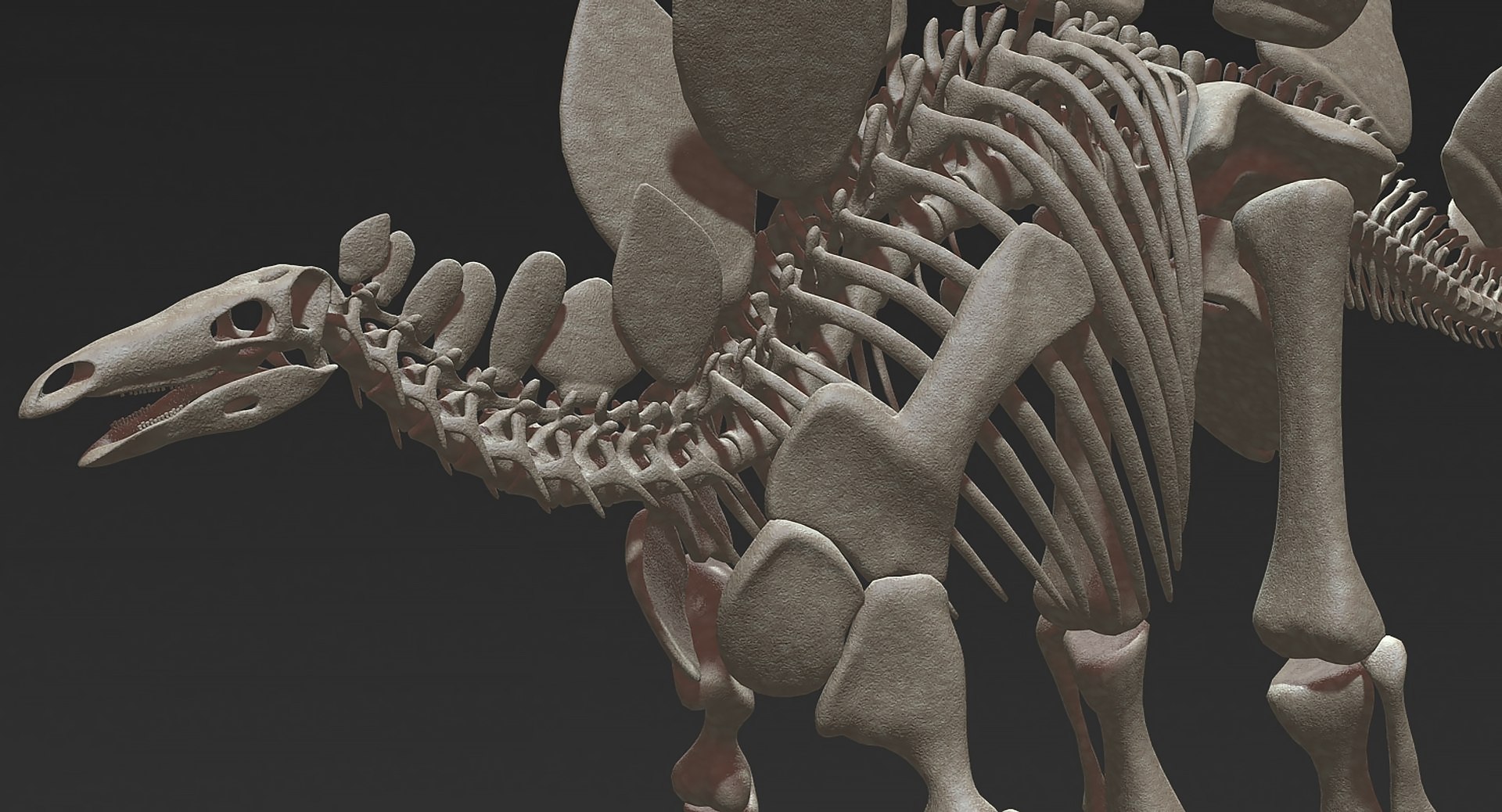 18 in1 dino skeleton model https://p.turbosquid.com/ts-thumb/6V/n9ziu7/As/r041/jpg/1739636003/1920x1080/fit_q87/6a944b7bceaaaf5716b9bbe1f11fe6bfe7033687/r041.jpg