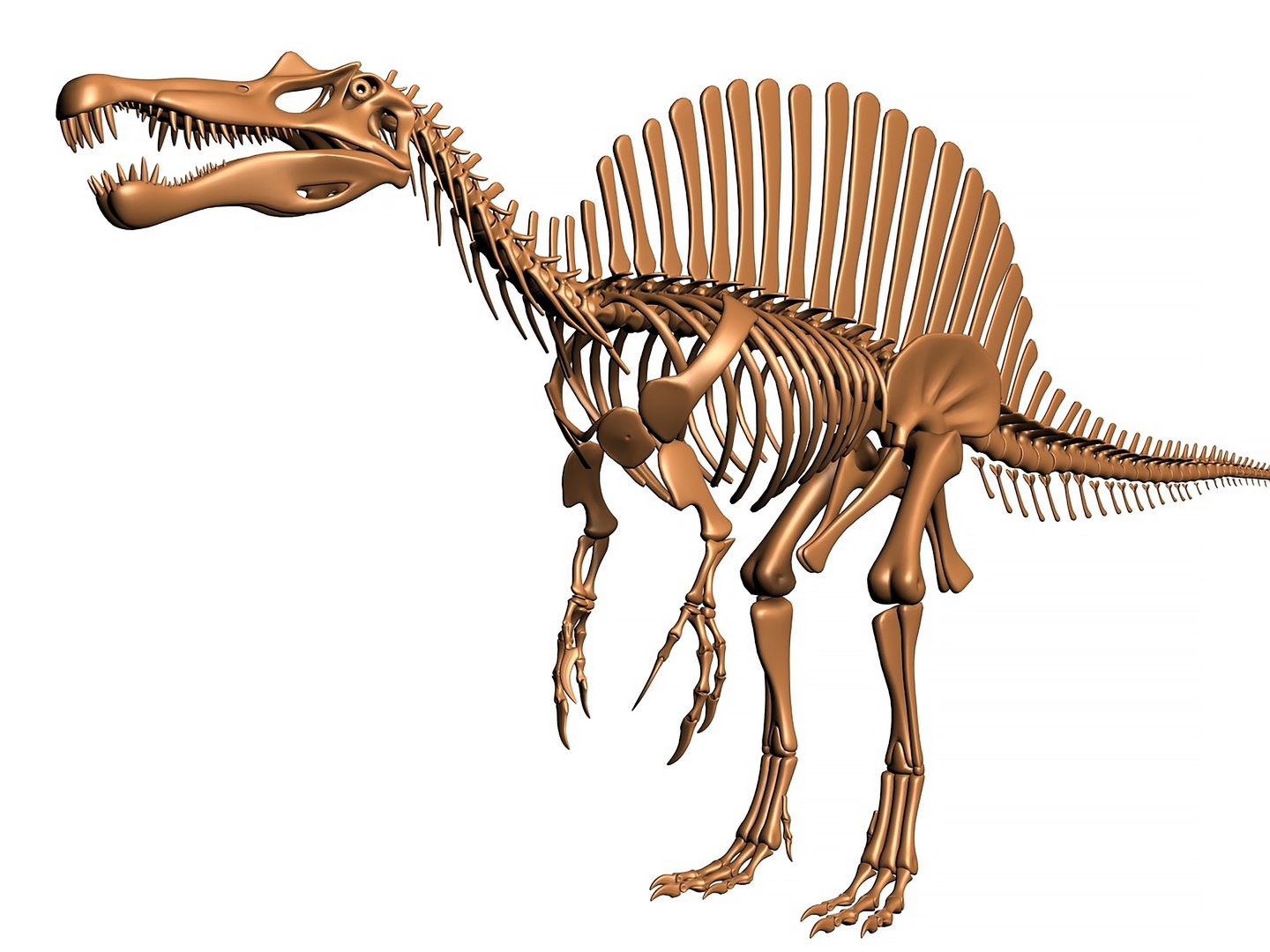 18 in1 dino skeleton model https://p.turbosquid.com/ts-thumb/6V/n9ziu7/B8/render012/jpg/1739636307/1920x1080/fit_q87/d36377f1def715eb8a38351939f965e85cea83e7/render012.jpg