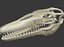 Collezione Dino scheletro 20 in1