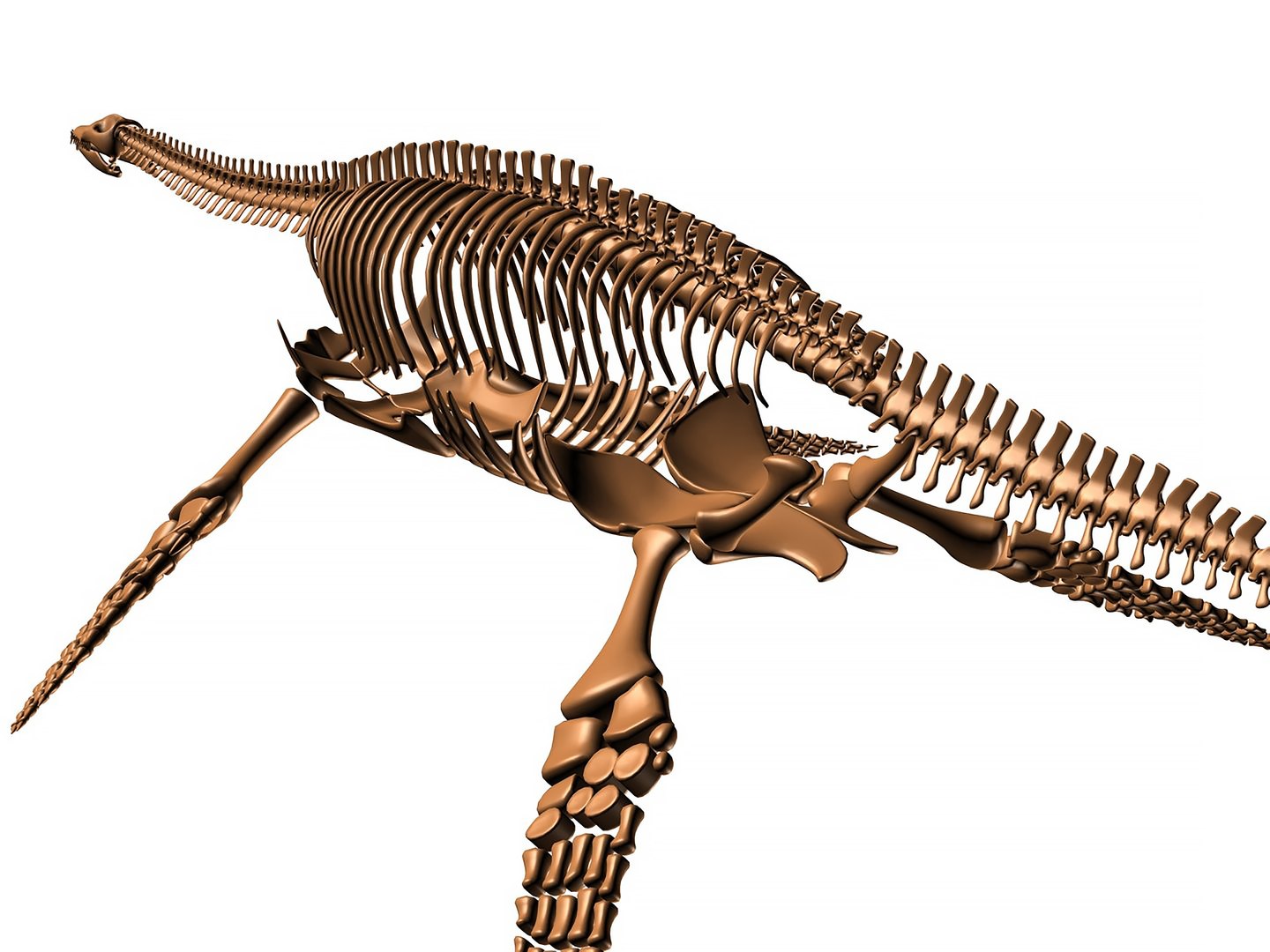 18 in1 dino skeleton model https://p.turbosquid.com/ts-thumb/6V/n9ziu7/CC/render041/jpg/1739636700/1920x1080/fit_q87/f152a9199c87ee353096b95a5651c20a587e09c4/render041.jpg