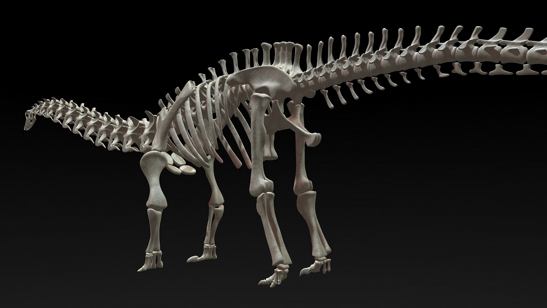 18 in1 dino skeleton model https://p.turbosquid.com/ts-thumb/6V/n9ziu7/D3/diplodocus02/jpg/1739636629/1920x1080/fit_q87/3c2b40282b2091bf555040ae1c18df25f7b6e354/diplodocus02.jpg