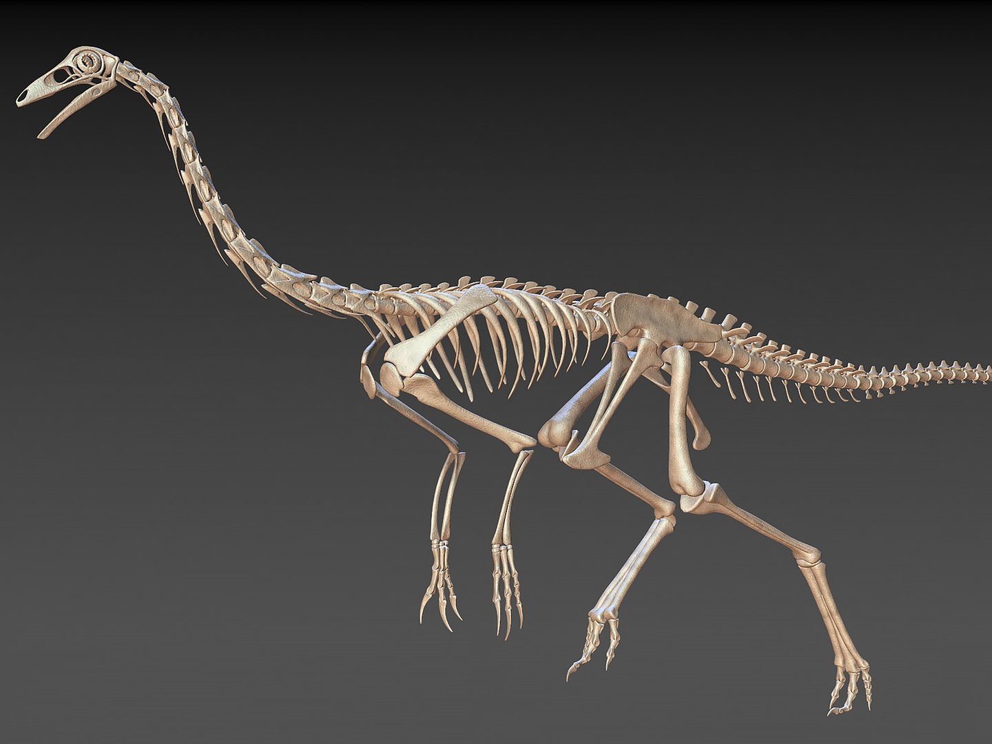 18 in1 dino skeleton model https://p.turbosquid.com/ts-thumb/6V/n9ziu7/DE/r01/jpg/1739635844/1920x1080/fit_q87/5f2fbda6b41bccdac6afd9dfd7a9305dab529c75/r01.jpg