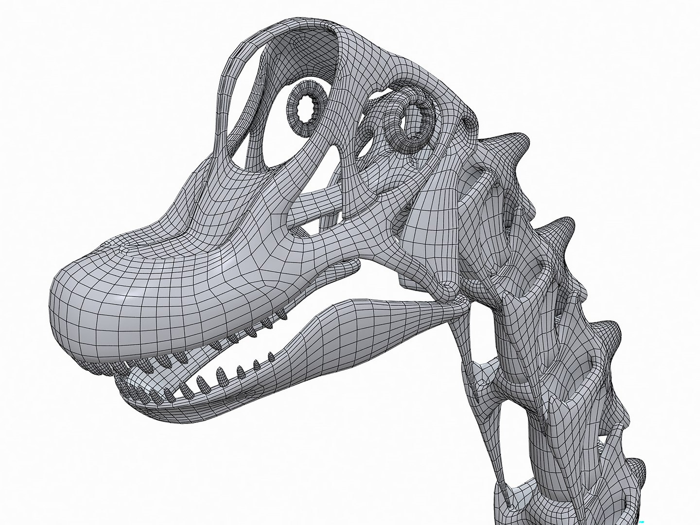 18 in1 dino skeleton model https://p.turbosquid.com/ts-thumb/6V/n9ziu7/FQ/m041/jpg/1739636250/1920x1080/fit_q87/0873b1e53ae0d00b749e1cc0d0e27a622ee6f93c/m041.jpg