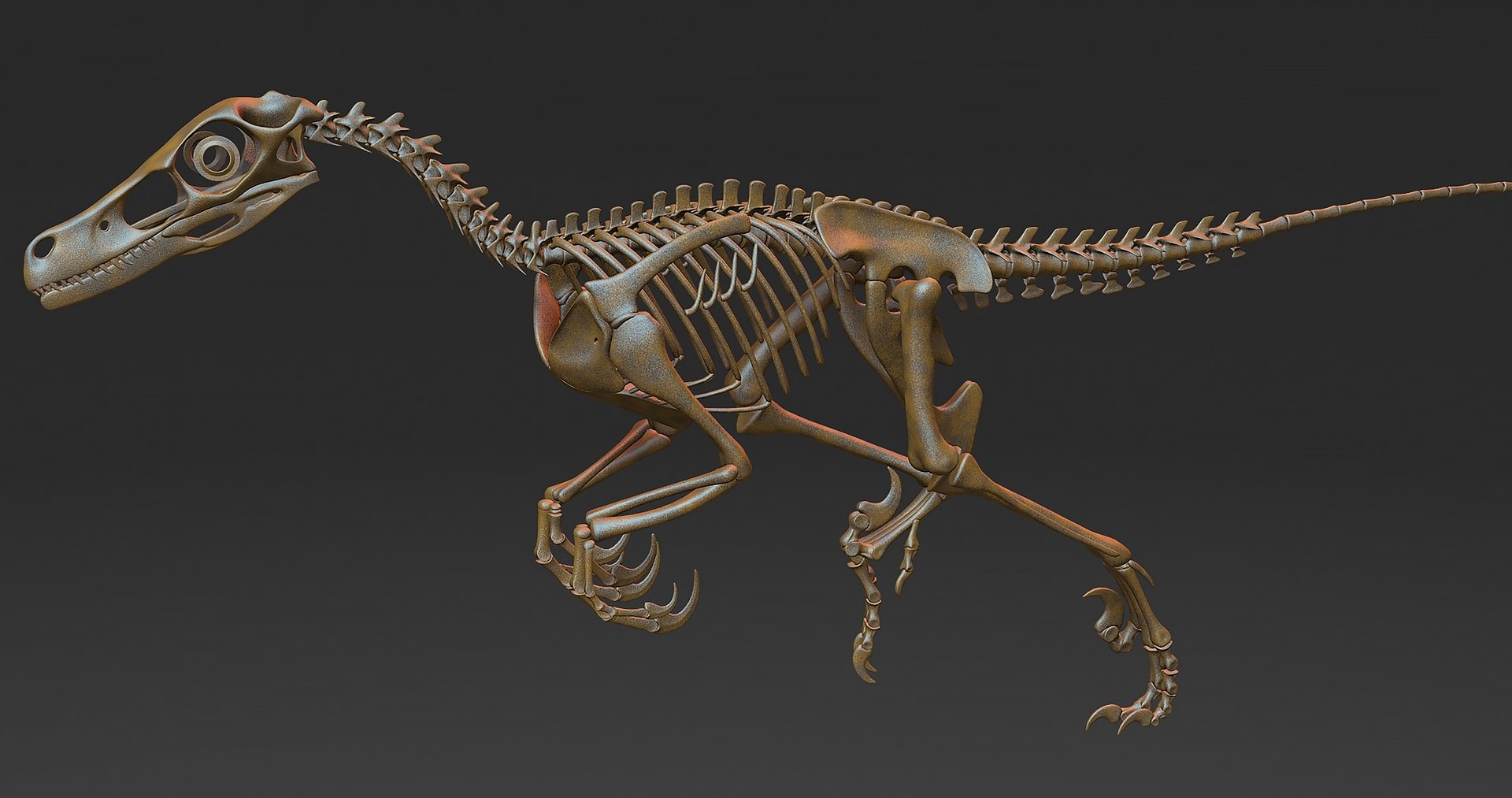 18 in1 dino skeleton model https://p.turbosquid.com/ts-thumb/6V/n9ziu7/FS/r016/jpg/1739636408/1920x1080/fit_q87/a7ec4fe82ea4d9f82dde9517f08ed1cd1d7cfa5f/r016.jpg